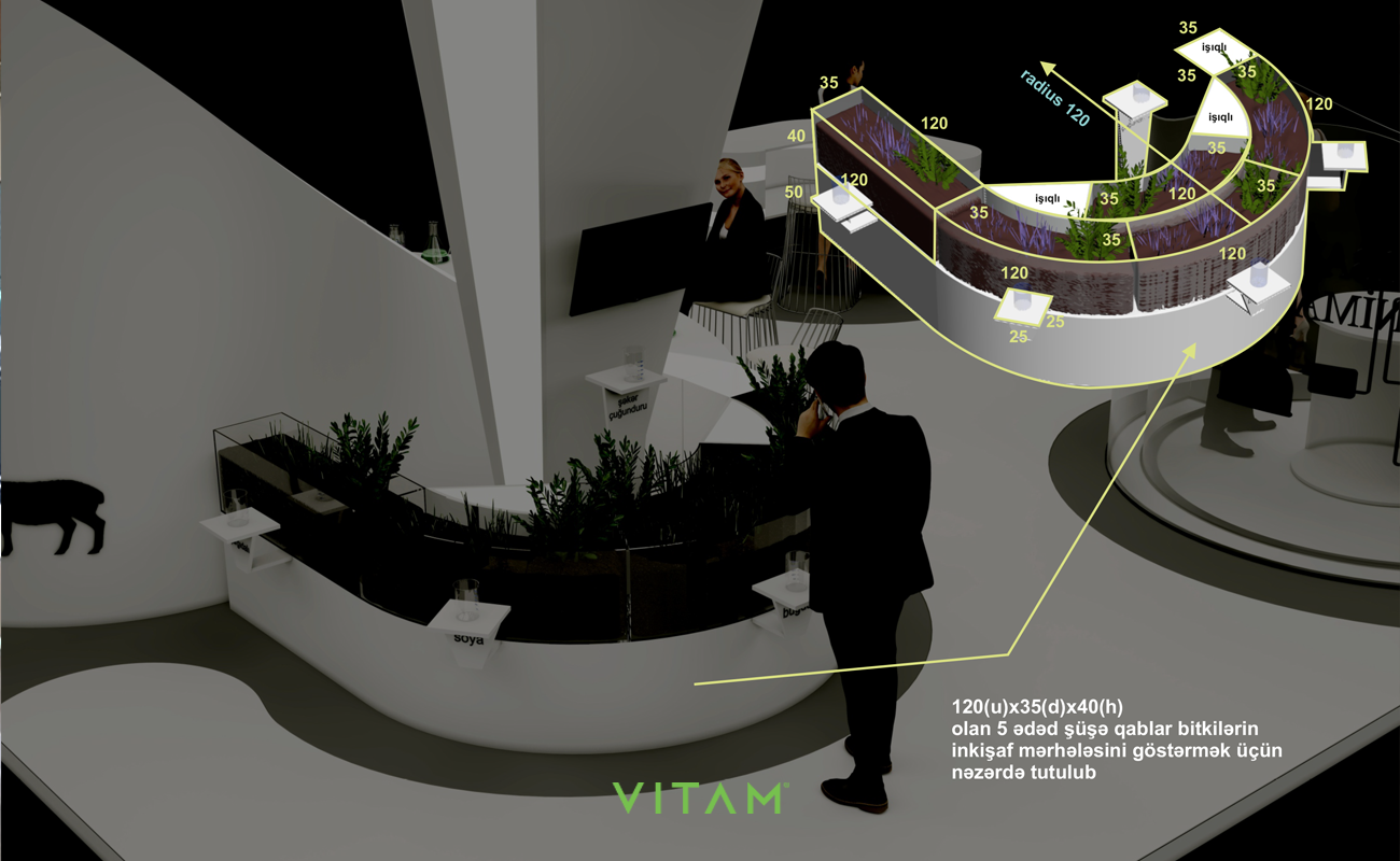 VITAM VISUALS — Azərşəkər