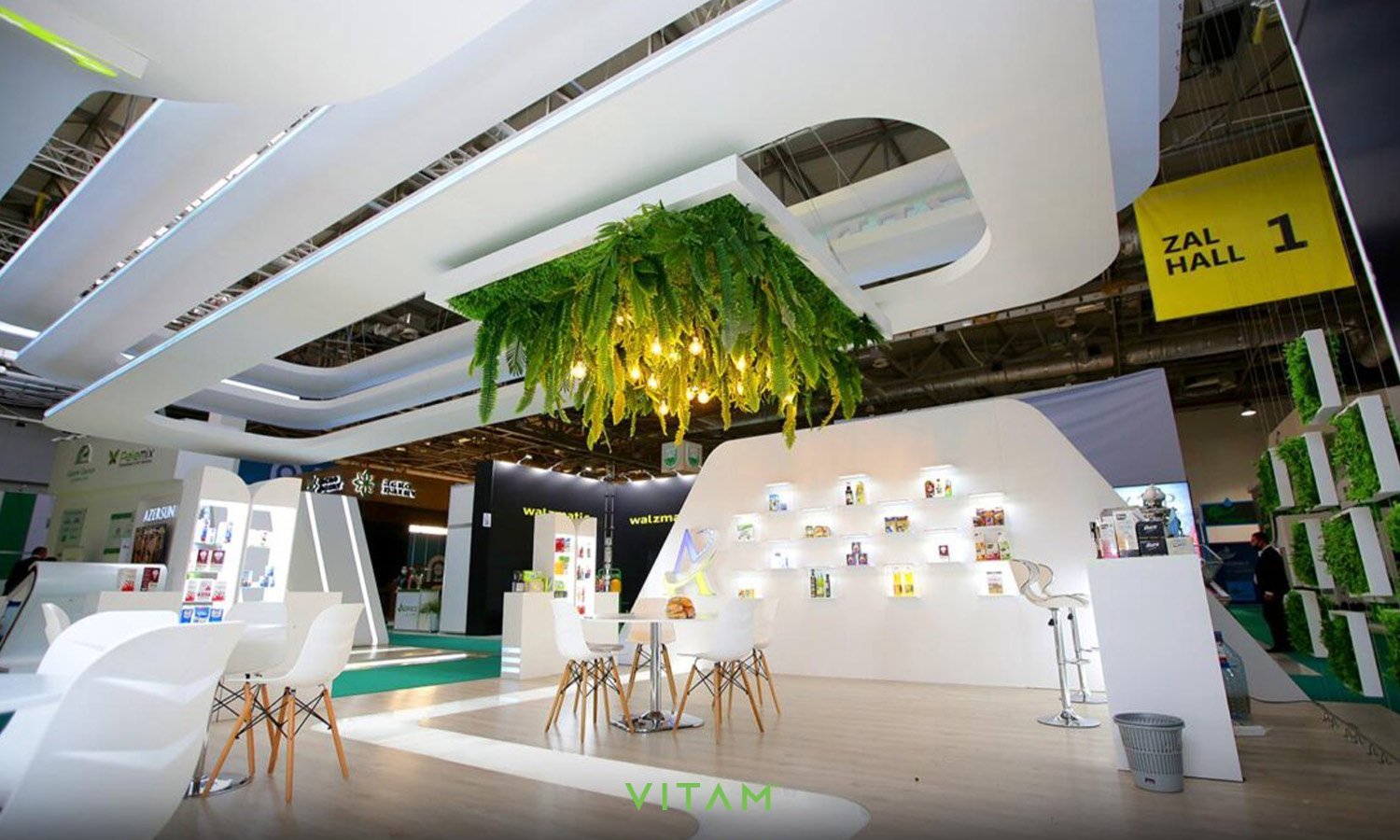 VITAM VISUALS — Azersun